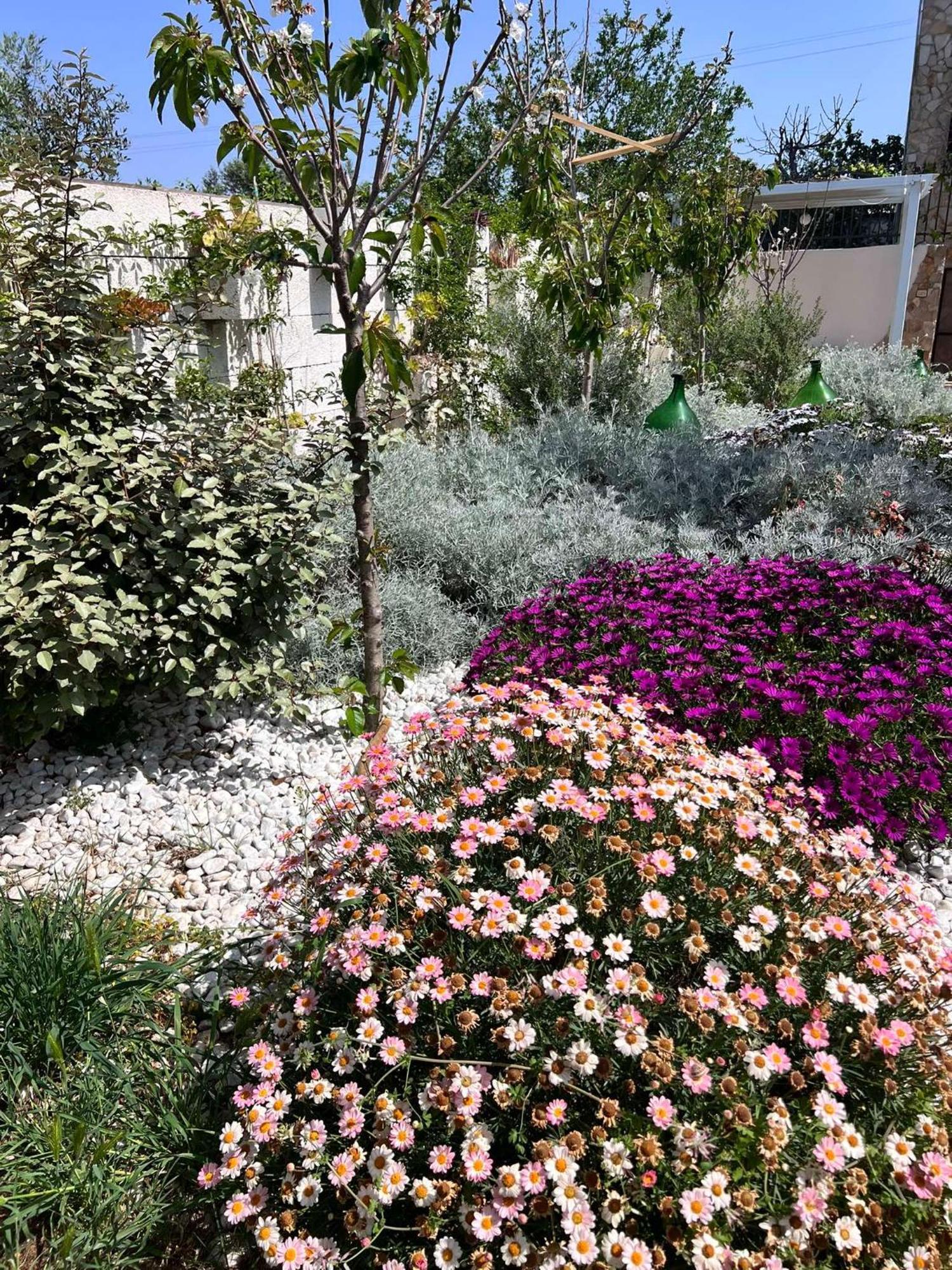 Villa Casa Vacanze Fiore Gallipoli Dış mekan fotoğraf