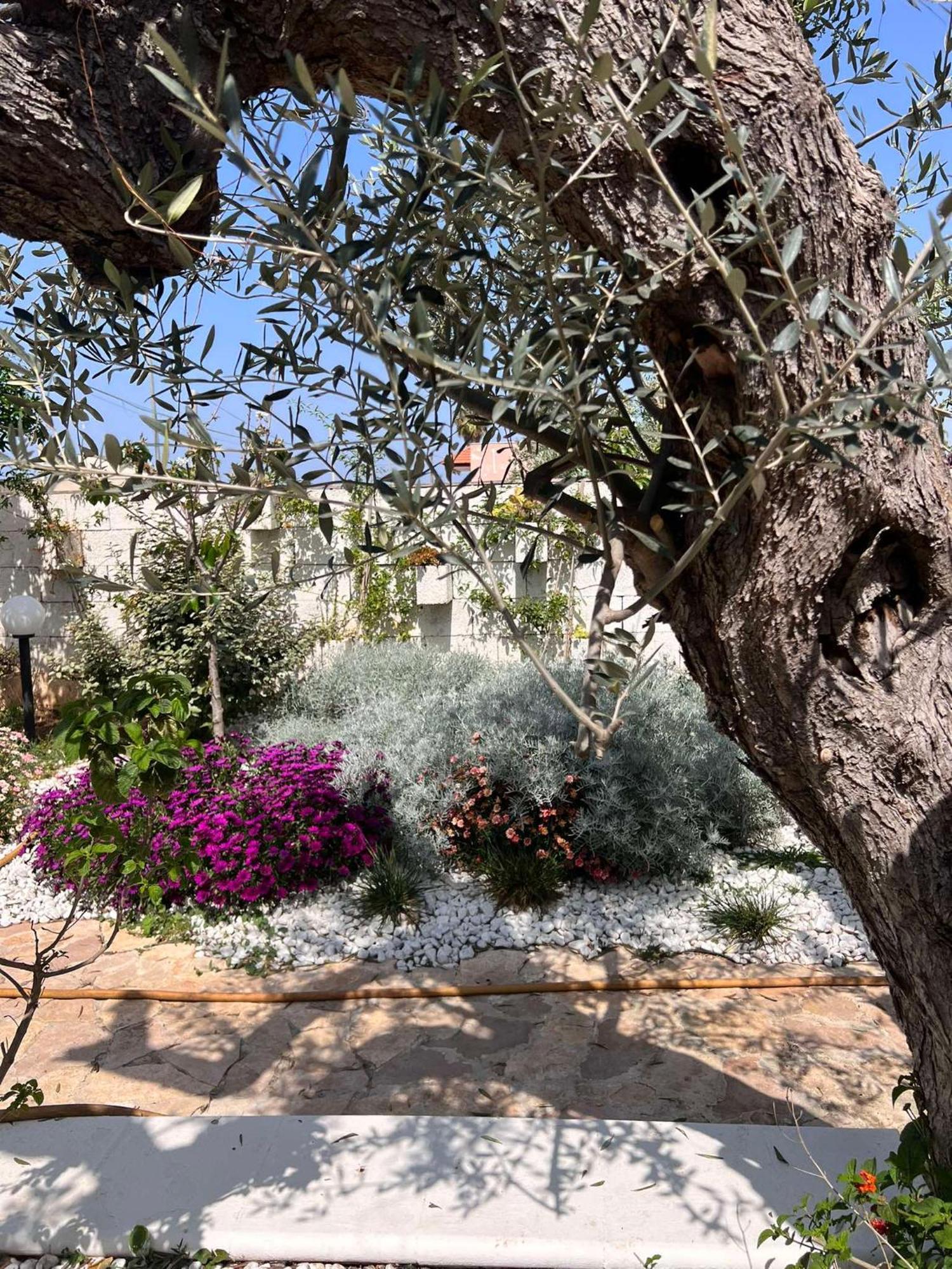 Villa Casa Vacanze Fiore Gallipoli Dış mekan fotoğraf