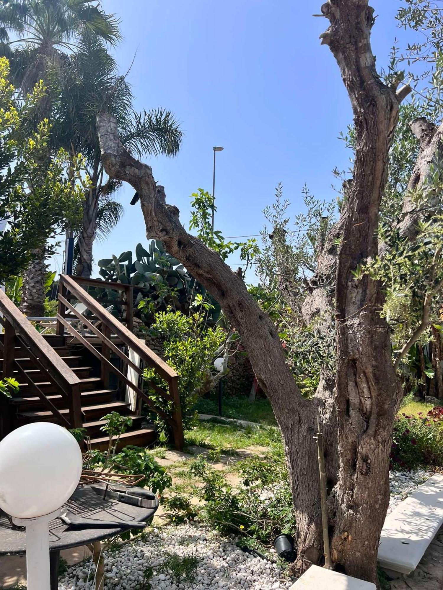 Villa Casa Vacanze Fiore Gallipoli Dış mekan fotoğraf