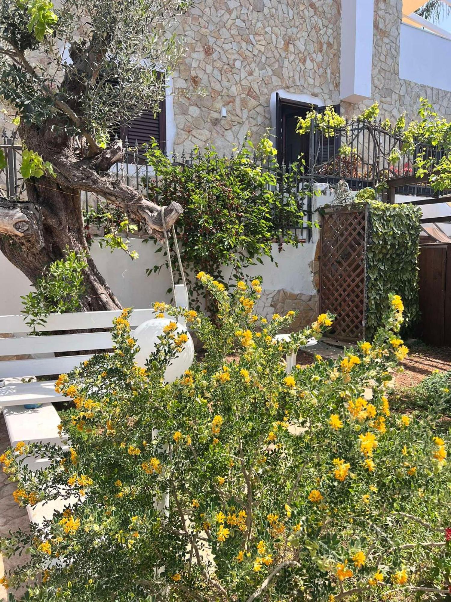 Villa Casa Vacanze Fiore Gallipoli Dış mekan fotoğraf